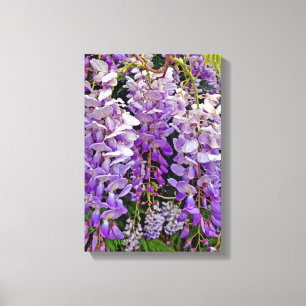 Wild wisteria 11x16 canvas print