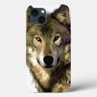 Wild Wolf Eyes