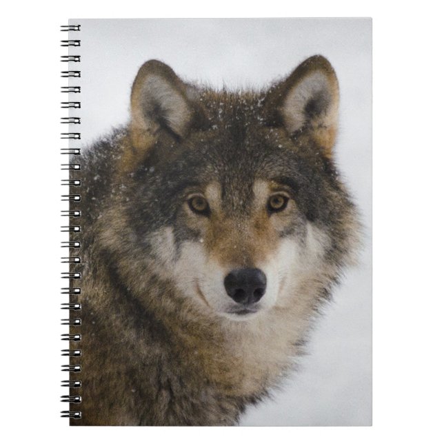 Wild Wolf in Nature Notebook (Front)