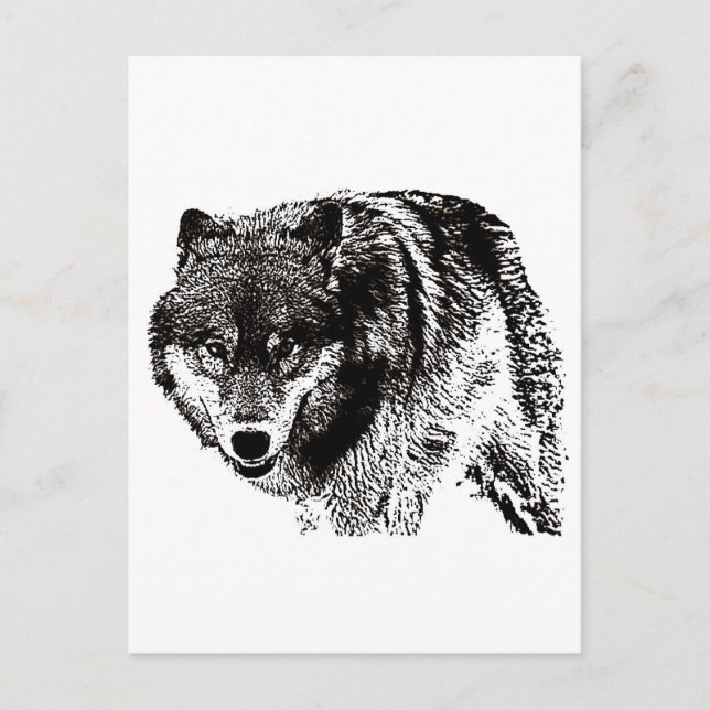 Wild Wolf Postcard (Front)