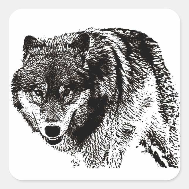 Wild Wolf Square Sticker (Front)