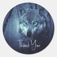 Wild Wolf with Beautiful Blue Eyes Thank You