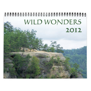 Wild Wonders 2012 Calendar