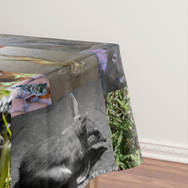 Wild Wonders: Captivating Australian Photo Collage Tablecloth (In Situ)