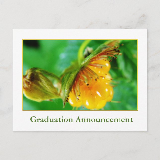 Wild yellow berry graduation announcement (Front)