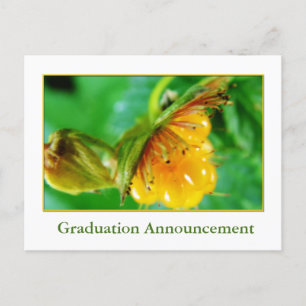 Wild yellow berry graduation announcement postcard