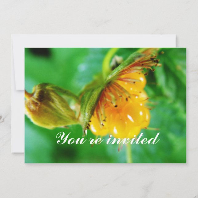 wild yellow berry invitation (Front)