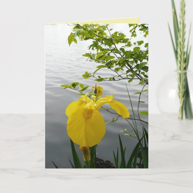 Wild Yellow Card (Front)