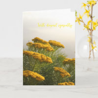 Wild Yellow Flowers South Africa Misty Weather