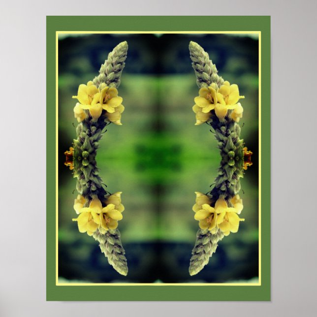 Wild Yellow Mullein Flower Abstract Poster (Front)