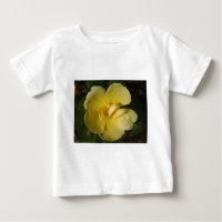 Wild Yellow Rose
