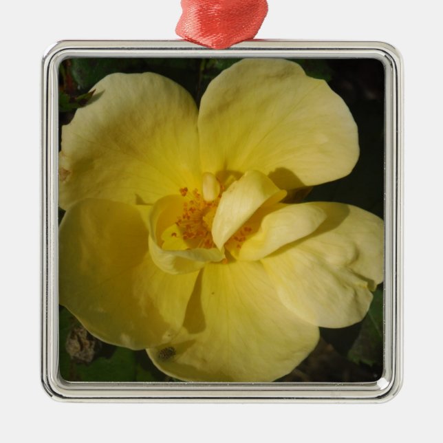 Wild Yellow Rose Metal Tree Decoration (Front)