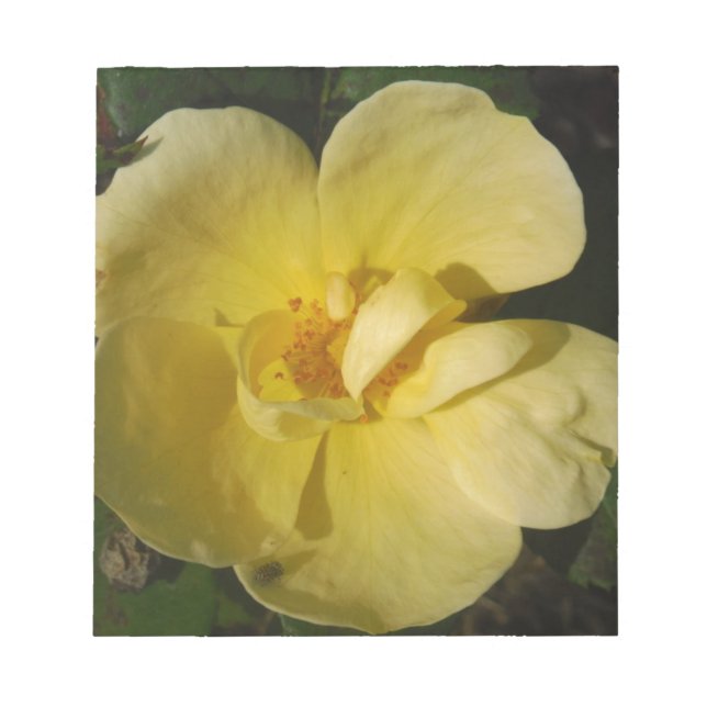 Wild Yellow Rose Notepad (Front)
