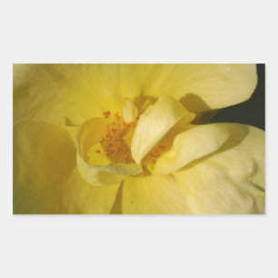 Wild Yellow Rose Rectangular Sticker