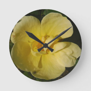 Wild Yellow Rose Round Clock