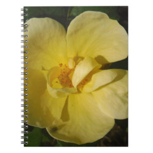 Wild Yellow Rose Spiral Notebook