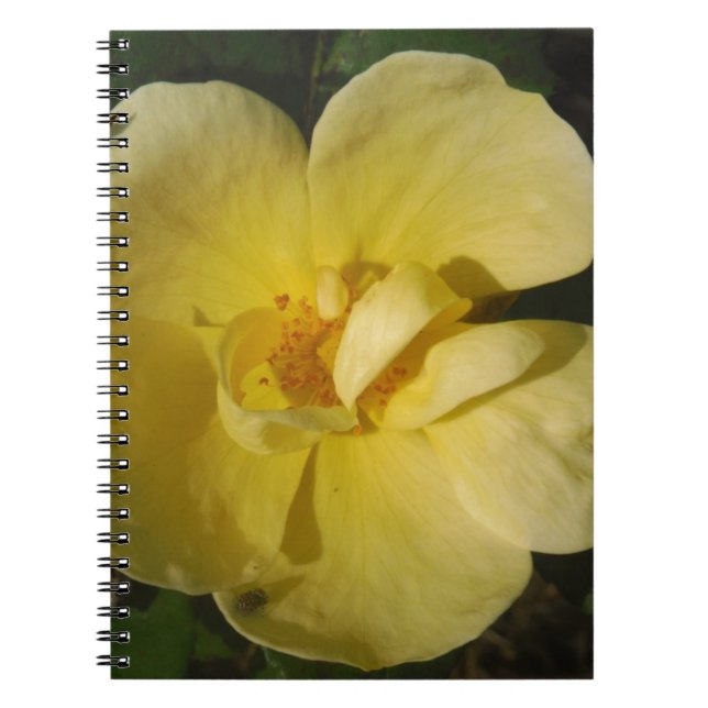 Wild Yellow Rose Spiral Notebook (Front)