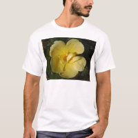Wild Yellow Rose