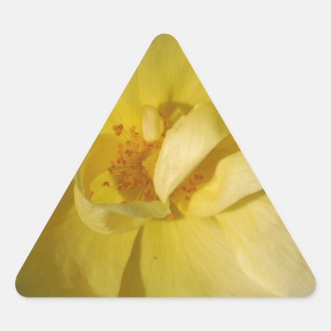 Wild Yellow Rose Triangle Sticker (Front)