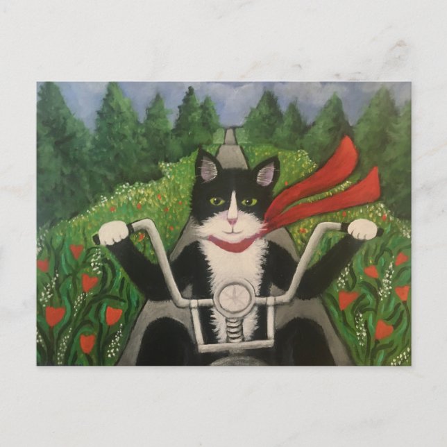 Wildboy Rides Again Postcard (Front)