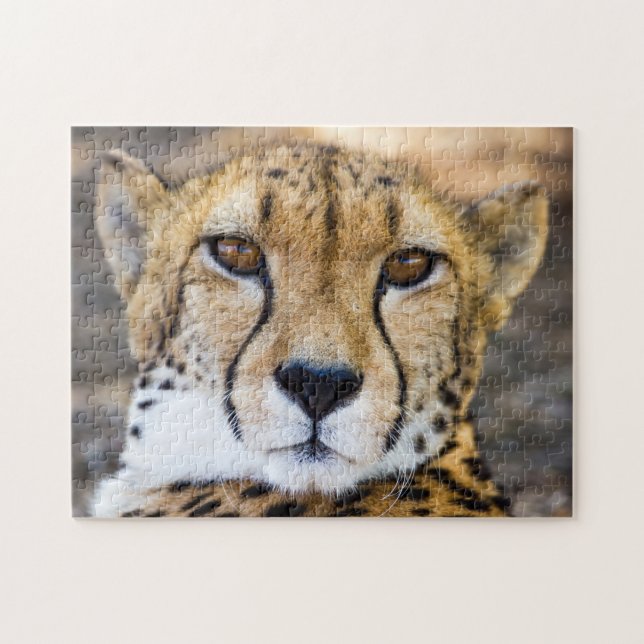 Wildcat Cheetah Leopard Wildlife Nature Jigsaw Puzzle (Horizontal)
