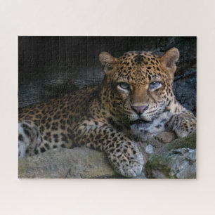 Wildcat Jaguar Animal Jigsaw Puzzle