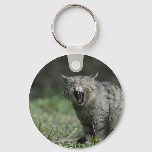 Wildcat Key Ring (Front)