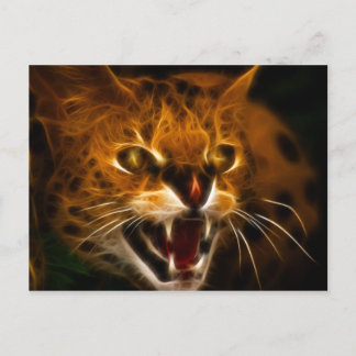Wildcat Postcard