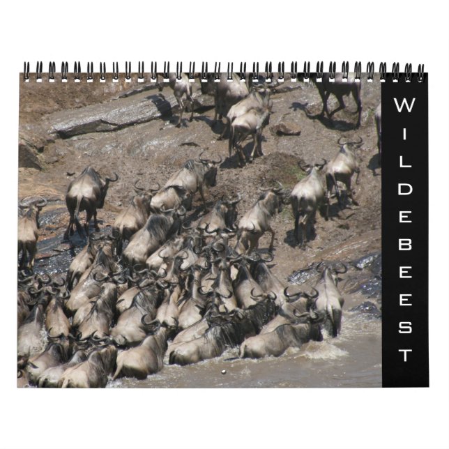 wildebeest 2027 calendar (Cover)