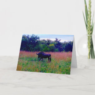 wildebeest card