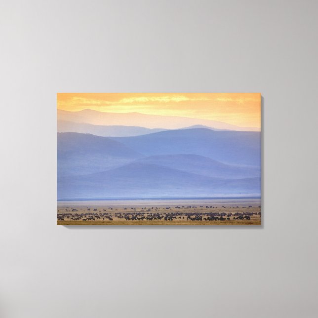 Wildebeest during migration, Connochaetes Canvas Print (Front)