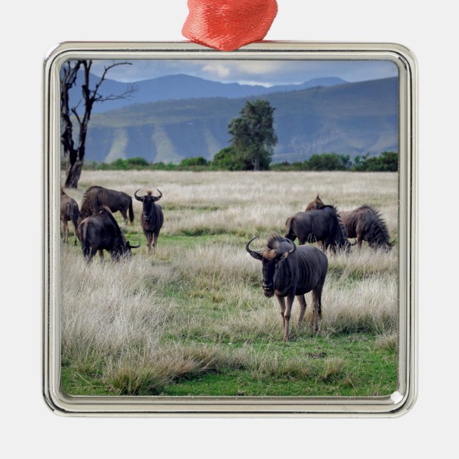 Wildebeest herd metal tree decoration (Front)