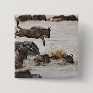 Wildebeest jumping into Mara River 15 Cm Square Badge