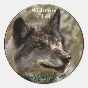 WILDERNESS CHILD Stickers