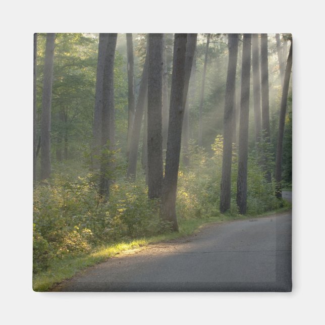 Wilderness Drive, Itasca State Park, Magnet (Front)