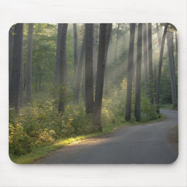 Wilderness Drive, Itasca State Park, Mouse Pad (Front)