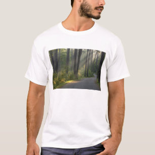 Wilderness Drive, Itasca State Park, T-Shirt