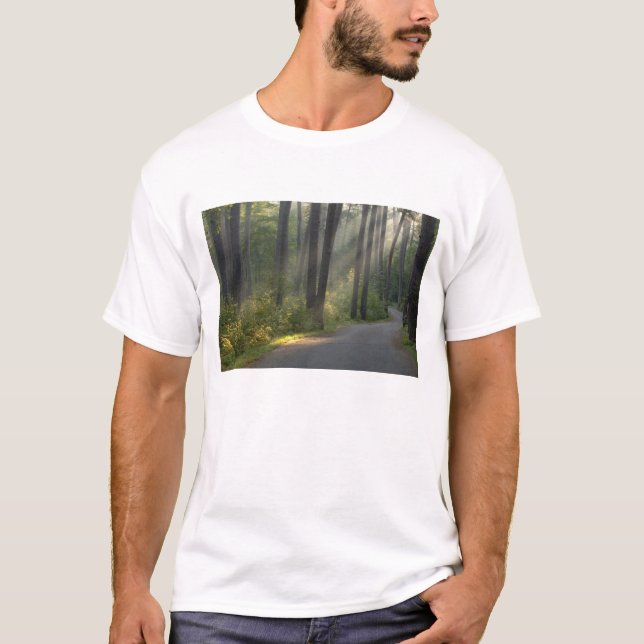 Wilderness Drive, Itasca State Park, T-Shirt (Front)