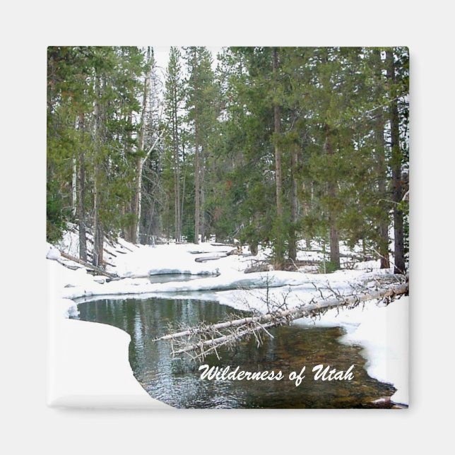 Wilderness of Utah Magnet (Front)