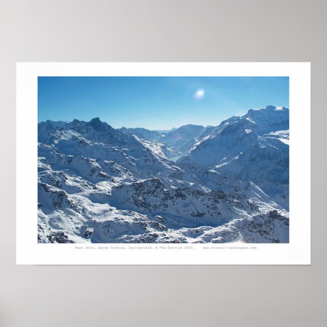 Wilderness Poster (Front)