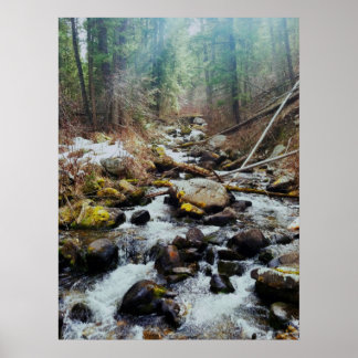 Wilderness Print