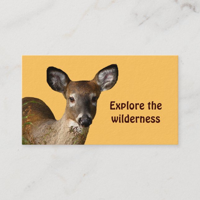 Wilderness Tours Business Card (Front)