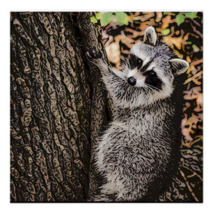 Wilderness Wild Racoon Poster