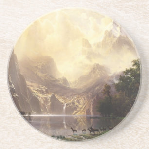 Wilderness & Wildlife Coaster