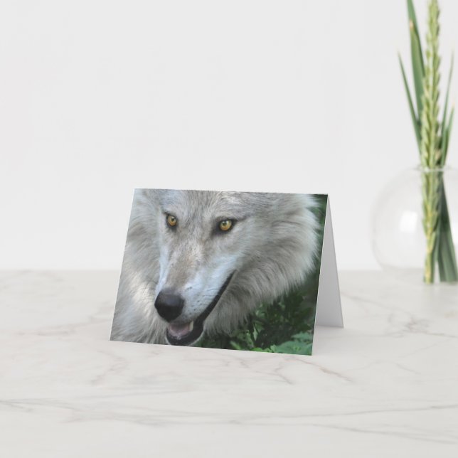 WILDERNESS WOLF Poem on a Note Card (Front)
