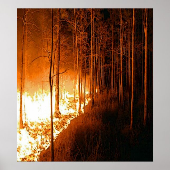 Wildfire Blaze Poster (Front)