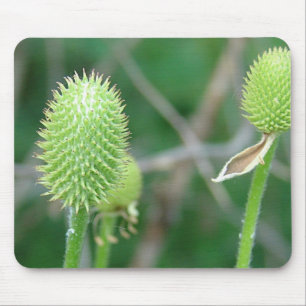 Wildflower 2 mouse pad