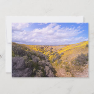 Wildflower Bloom