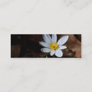 Wildflower Bookmark / Contact Card