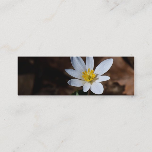 Wildflower Bookmark / Contact Card (Front)